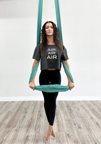 Silver AIR Black Crop Tee