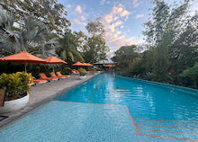 Load image into Gallery viewer, April 10-17, 2026 | COSTA RICA